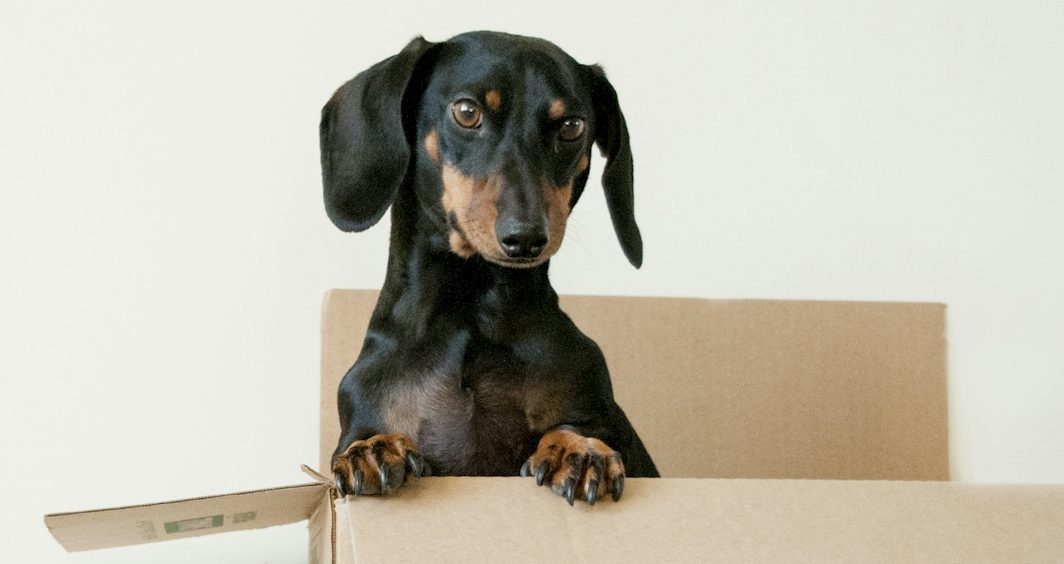 Boxes for Sale Costa del Sol 